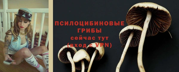 ешки Нязепетровск