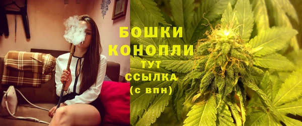 ГАЛЛЮЦИНОГЕННЫЕ ГРИБЫ Краснотурьинск